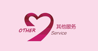 中国国际彩盒展的其他服务